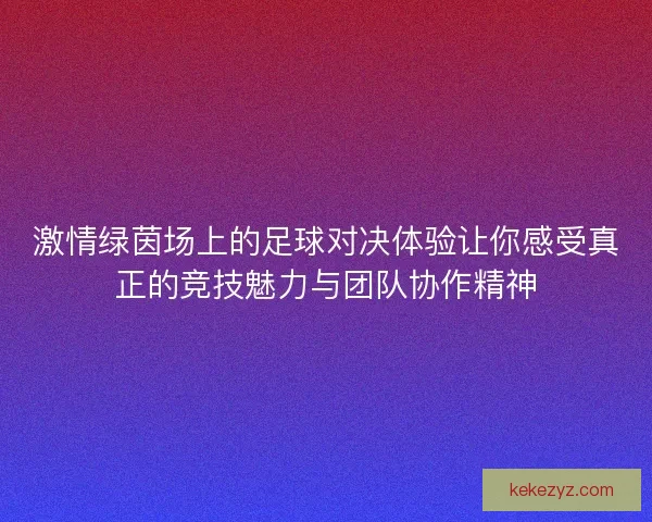 激情绿茵场上的足球对决体验让你感受真正的竞技魅力与团队协作精神